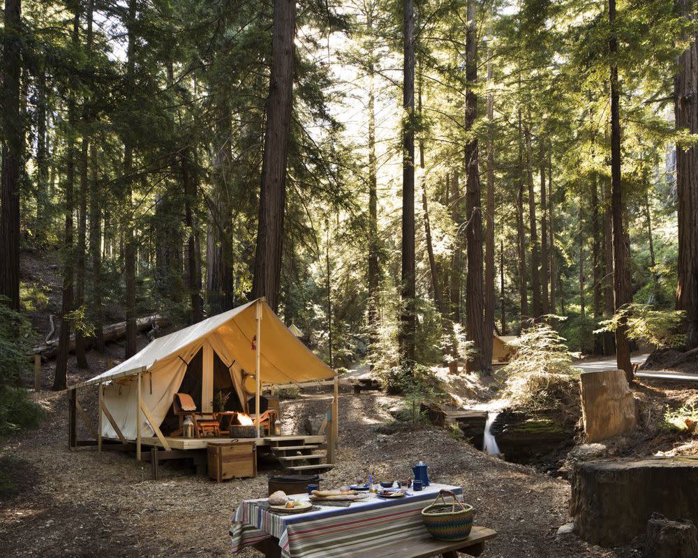 Ventana Campground, Near Big Sur, California