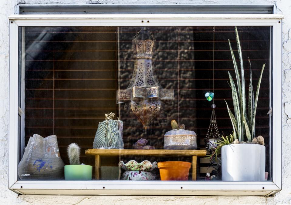 A glass box window on the side of Brandy Williams' home filled with plants and cacti in containers