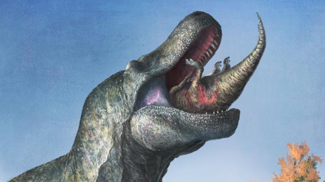 T. rex could have been 70% bigger than fossils suggest, new study