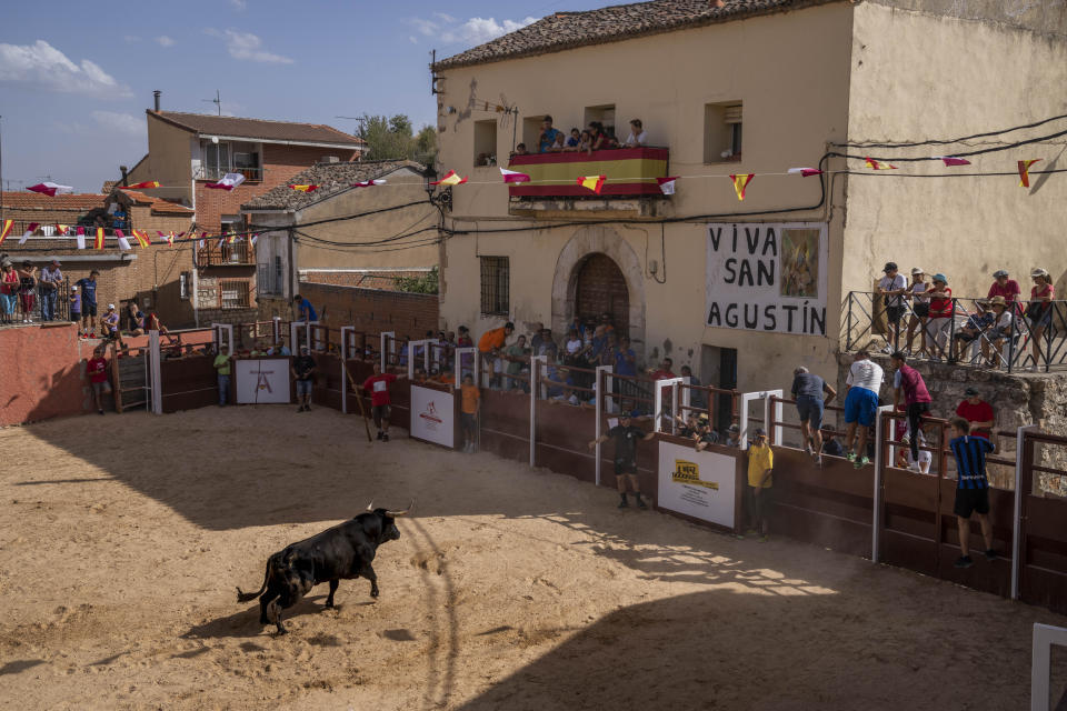 A bull roams around a square as revelers tempt him during a running of the bull festival in the village of Atanzon, central Spain, Monday, Aug. 29, 2022. The deaths of eight people and the injury of hundreds more after being gored by bulls or calves have put Spain’s immensely popular town summer festivals under scrutiny by politicians and animal rights groups. There were no fatalities or injuries in Atanzon. (AP Photo/Bernat Armangue)