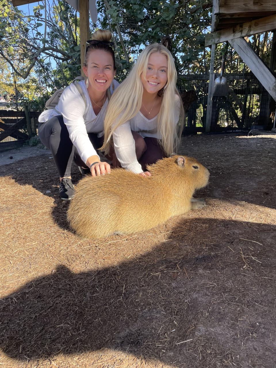 Candace's daughter, Shena, and granddaughter, Rylee, pet a wiry capybara.