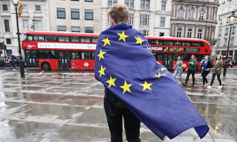 Anti-Brexit protester, London, June 2016