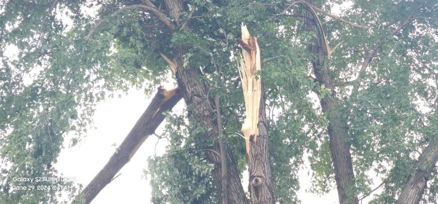 A storm caused extensive damage in Junction City on June 28, 2024. (Courtesy Jeffrey S Wenger DK101 Storm Spotter)