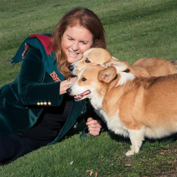 Sarah Ferguson con los corgis de la Reina