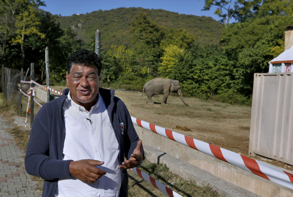 Dr. Amir Khalil, a veterinary from the international animal welfare organization "Four Paws" talks to The Associated Press near an elephant named "Kaavan" waiting to be transported to a sanctuary in Cambodia, at the Maragzar Zoo in Islamabad, Pakistan, Friday, Nov. 27, 2020. Iconic singer and actress Cher was set to visit Pakistan on Friday to celebrate the departure of Kaavan, dubbed the “world’s loneliest elephant,” who will soon leave a Pakistani zoo for better conditions after years of lobbying by animal rights groups and activists. (AP Photo/Anjum Naveed)