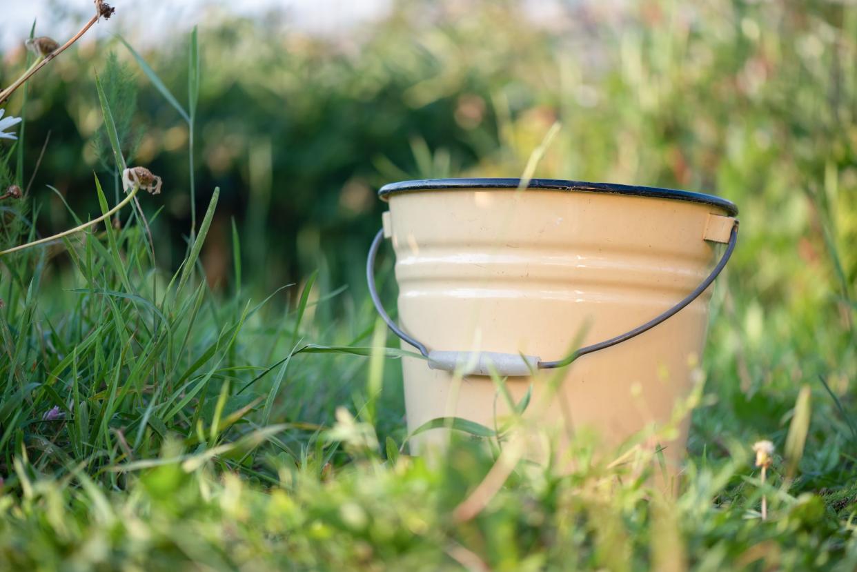 Old bucket on the garden house yard background.