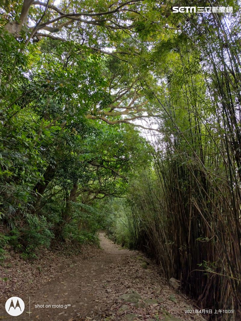 在沒陽光的情況下，帶著g30走了橫嶺古道