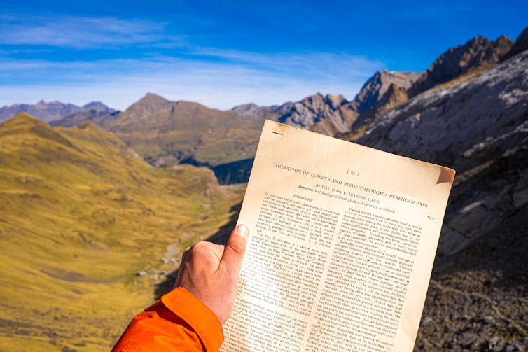 mountain scenery, hand holding an old scientific paper by ornithologists