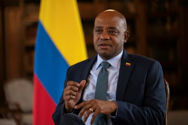 Colombian Foreign Minister Luis Gilberto Murillo speaks during an interview with AFP at San Carlos Palace in Bogota, Colombia on May 25, 2024 (Luis ACOSTA)