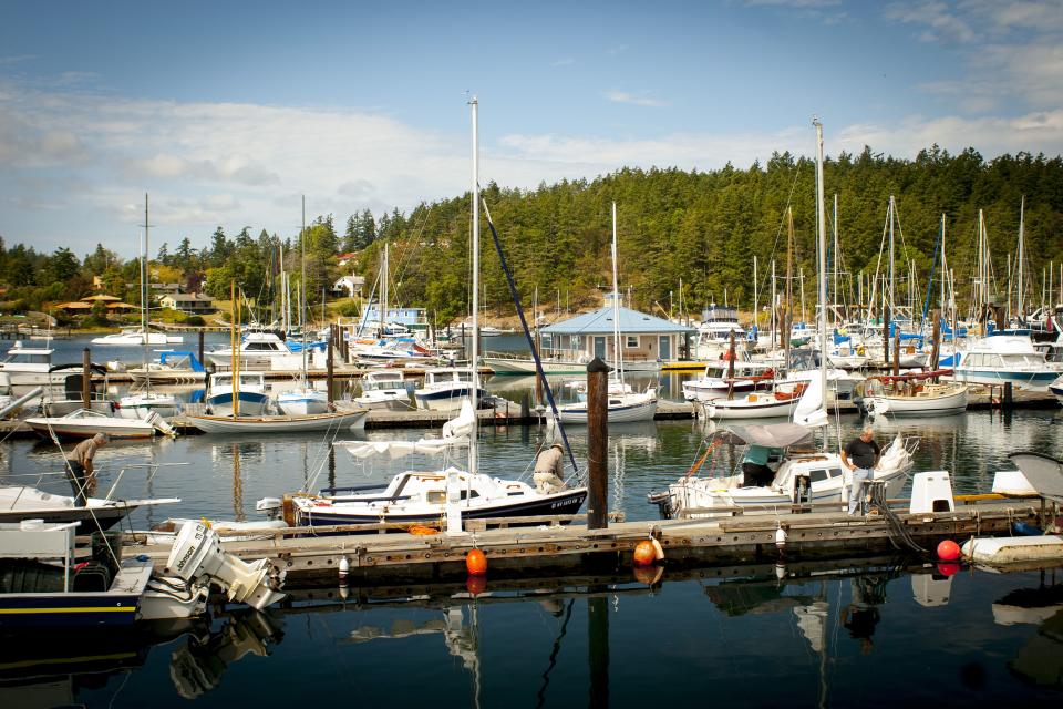 Friday Harbor, Washington