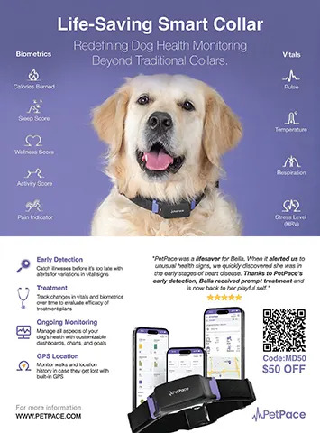 PetPace smart collar is designed to improve pets’ quality of life, health, and well-being. Developed by veterinarians and powered by machine learning, our collar helps pet owners worldwide to maintain their dogs’ and cats’ welfare.