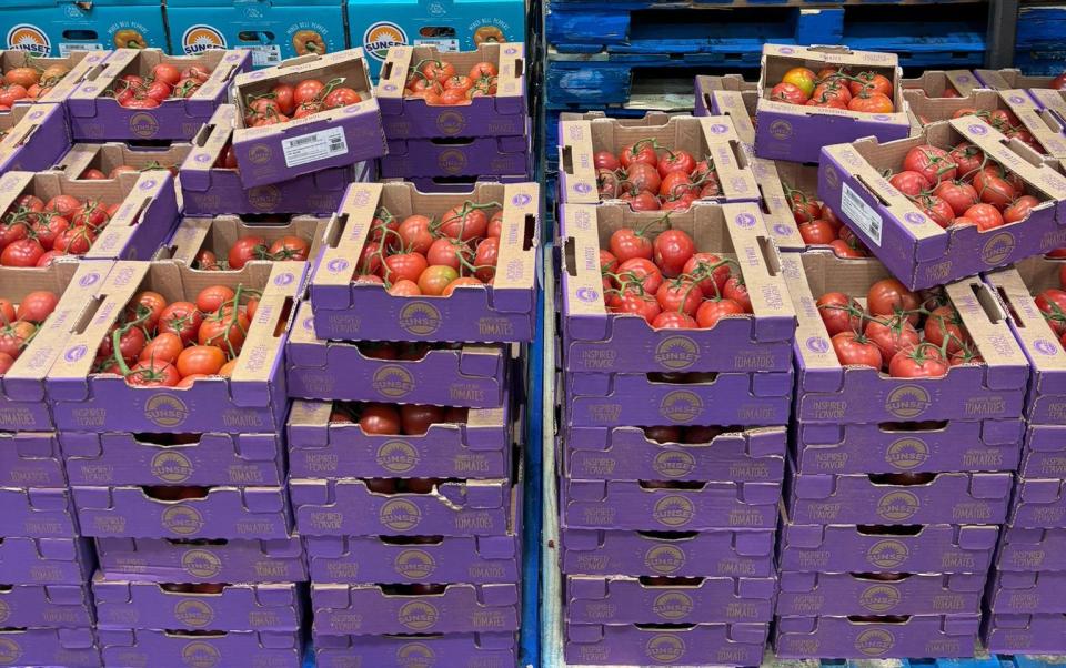 Boxes of on the vine tomatoes at Costco 