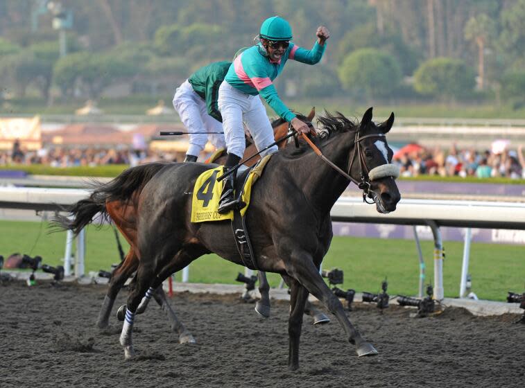 Jockey Mike Smith celebrates after winning the five million-dollar Breeders' Cup Classic.