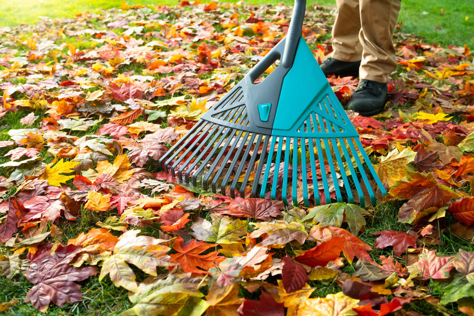 Canadian Tire Yardworks 3-in-1 rake for raking leaves
