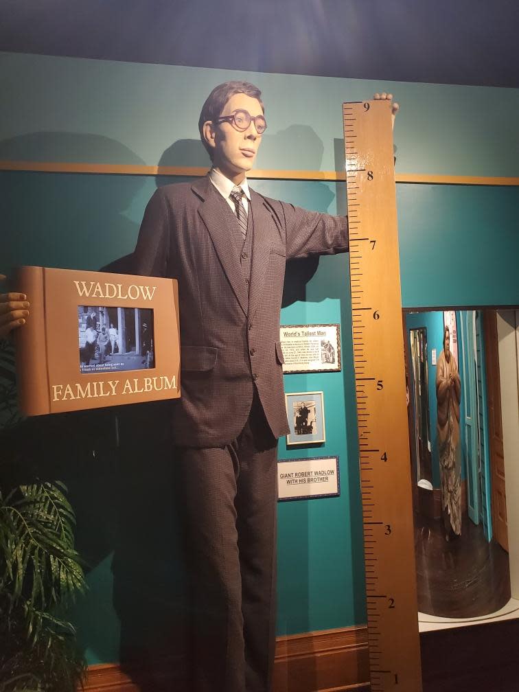 A wax figure exhibit of the "World's Tallest Man" at Ripley's Believe It or Not! in St. Augustine.