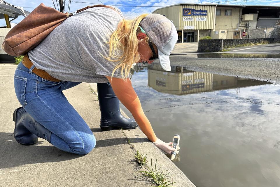 Shellie Habel, coastal geologist at the University of Hawaii Sea Grant College Program, tests the salinity of water on a chronically flooded road in the Mapunapuna industrial area of Honolulu on Friday, May 19, 2023. With climate change, scientists say some feces-laced groundwater may come up through storm drains and the soil as rising sea levels lift the groundwater above it. (AP Photo/Audrey McAvoy)