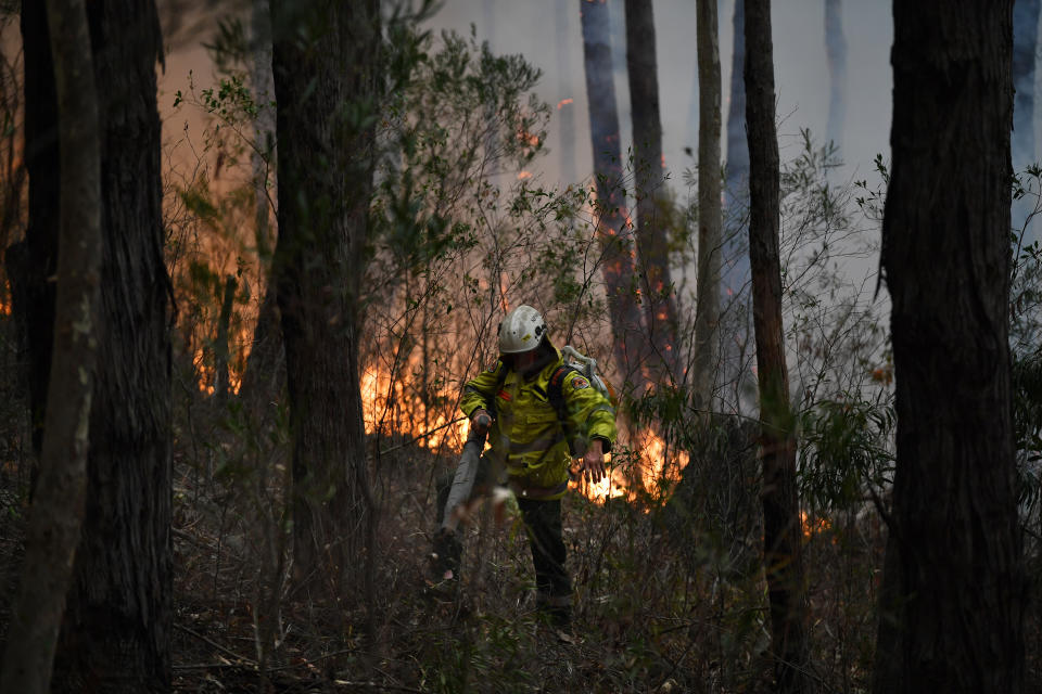 Rural Fire Service volunteers (RFS), National Parks and Wildlife Service staff and Queensland Rural Bushfire Brigade volunteers back burning at Burrill Lake south of Ulladulla.