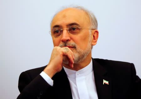 FILE PHOTO: Head of the Iranian Atomic Energy Organization Ali Akbar Salehi attends the lecture "Iran after the agreement: Hopes & Concerns" in Vienna, Austria, September 28, 2016. REUTERS/Leonhard Foeger/File Photo