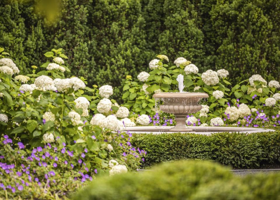 home in concord, massachusetts design by dan gordon landscape architects white annabelle hydrangeas and rozanne geraniums pool around a secluded garden fountain