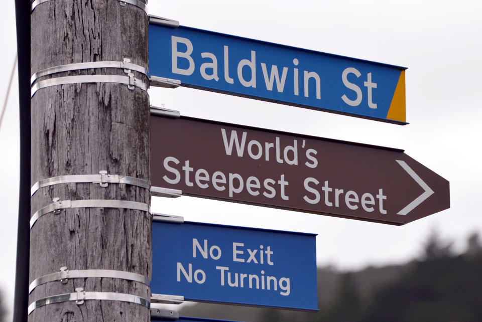 General view of Baldwin Street in Dunedin, officially recognised as the steepest street in the world 