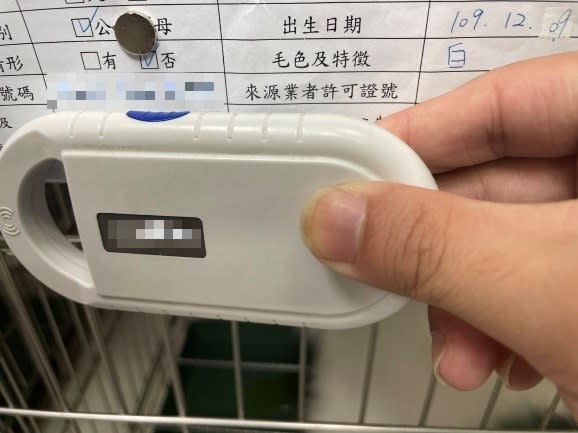 動保處於現場查核犬貓是否有植入晶片。   圖：新北市動保處提供