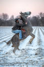 <p>A young cowboy named Gee rises on his horse after a rare snowfall in Cleveland, Miss., January 2018. (Photograph by Rory Doyle) </p>