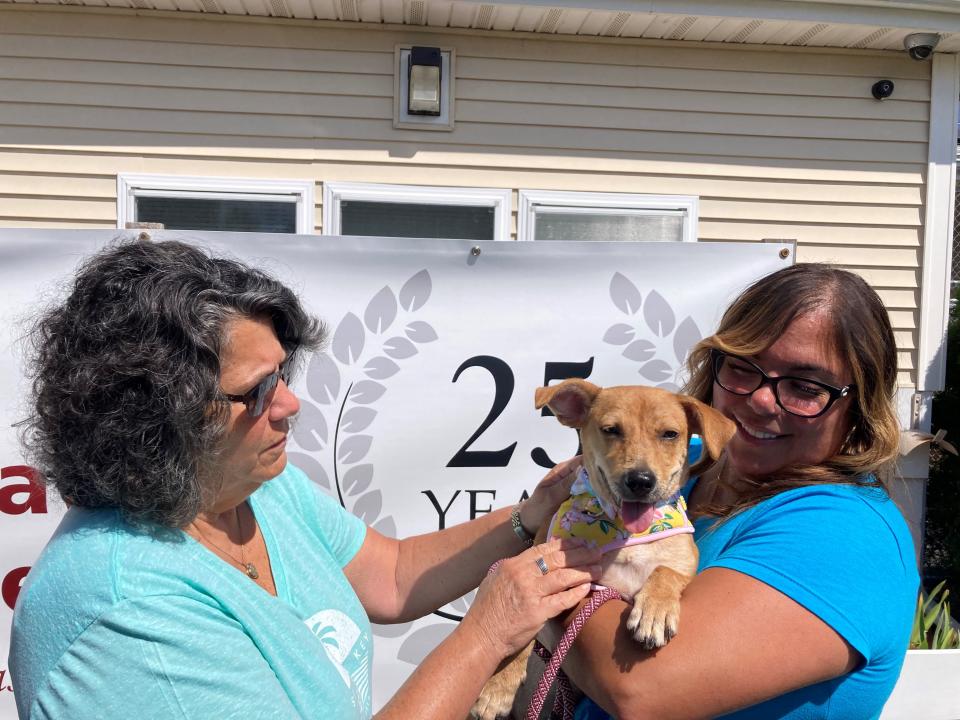 Forever Paws Animal Shelter Board of Director Chairwoman Gail Furtado and shelter Director Arianna Silva in a Herald News file photo. In the middle, Angelica, the 5-month-old Dachshund mix who came from Sato Care Alliance in Puerto Rico.