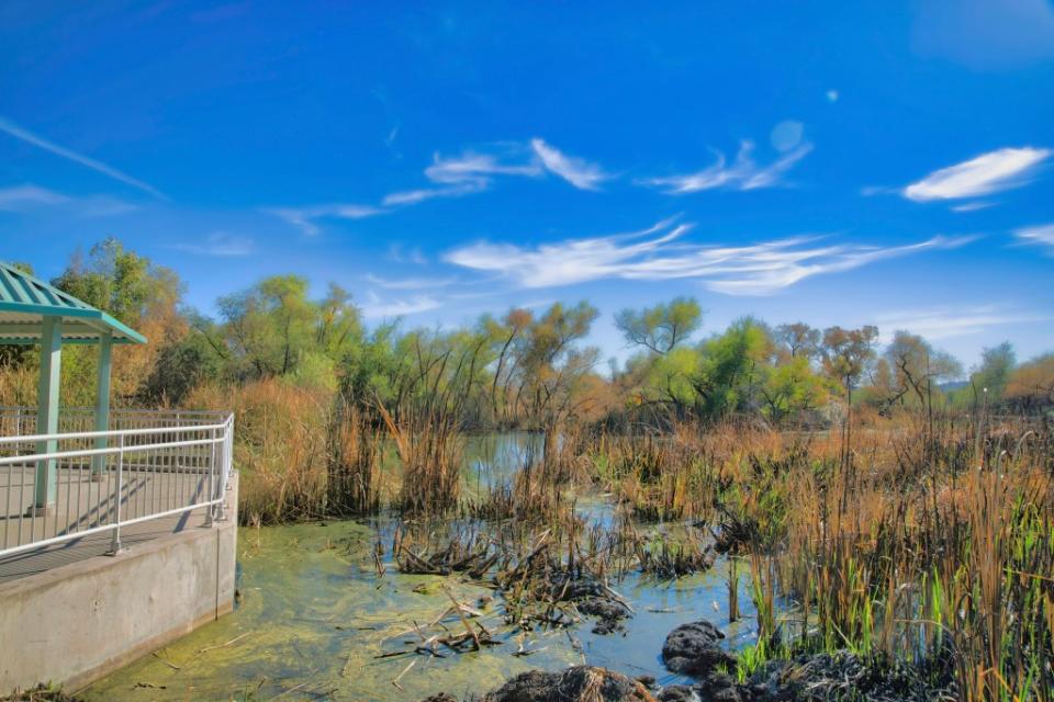 Sweetwater Wetlands Nature Preserve Park via Getty Images