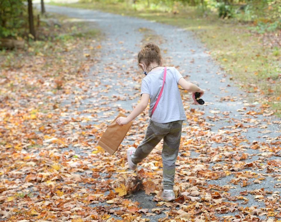 Georgia Secrest, 6, kicks the leaves as she looks for different ones during a Fall Leaf Hunt at the Natural Resources Trust of Easton's Sheep Pasture, on Tuesday, Sept. 29, 2020.