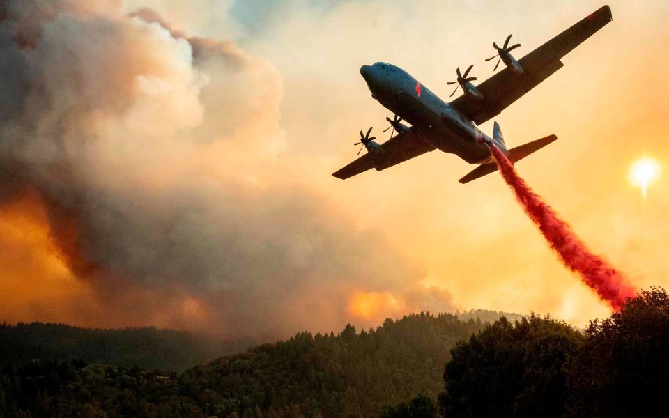 An aircraft drops fire retardant on a ridge during the Walbridge fire in Healdsburg, California - AFP