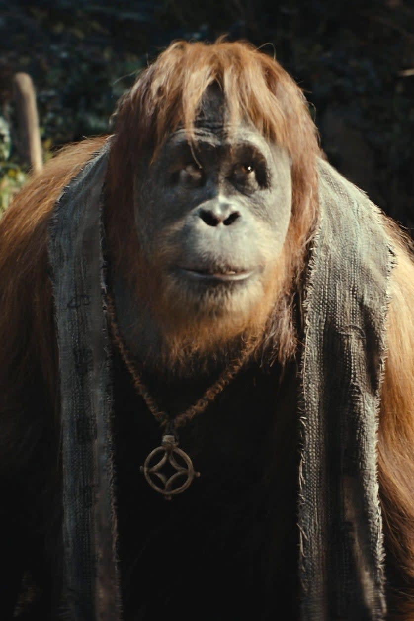 Raka standing with a vest and necklace with a forest in the background in Kingdom of the Planet of the Apes