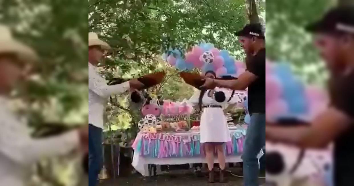 Hacen polémicas peleas de gallos para fiestas de revelación de género. Foto: Foto: Captura de video X vía @MemetecaOficial