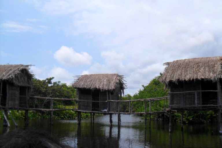 Zona de manglar en La Tovara, San Blas.