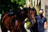 Horse Racing at Newcastle Racecourse