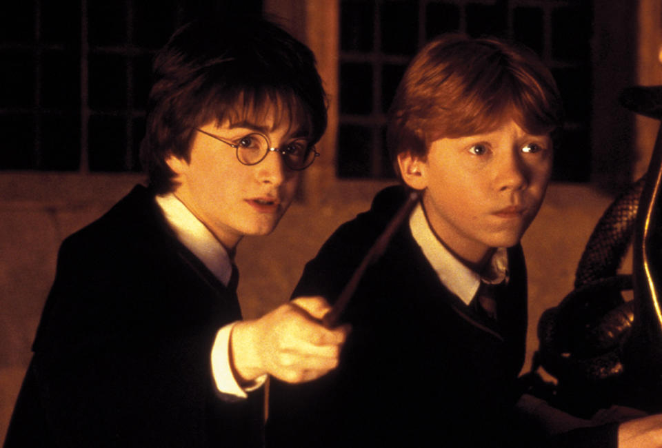 What will the Harry Potter series be about?