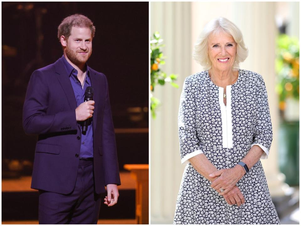 Publishing insiders are concerned Harry criticise his blast step-mother Camilla  (Getty Images/ Clarence House)