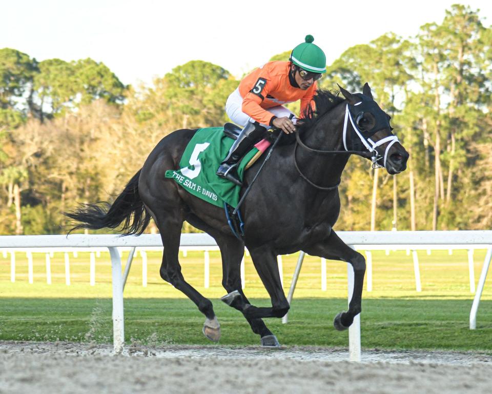 No More Time and jockey Paco Lopez won the Grade 3 Sam. F. Davis on Feb. 10 at Tampa Bay Downs.