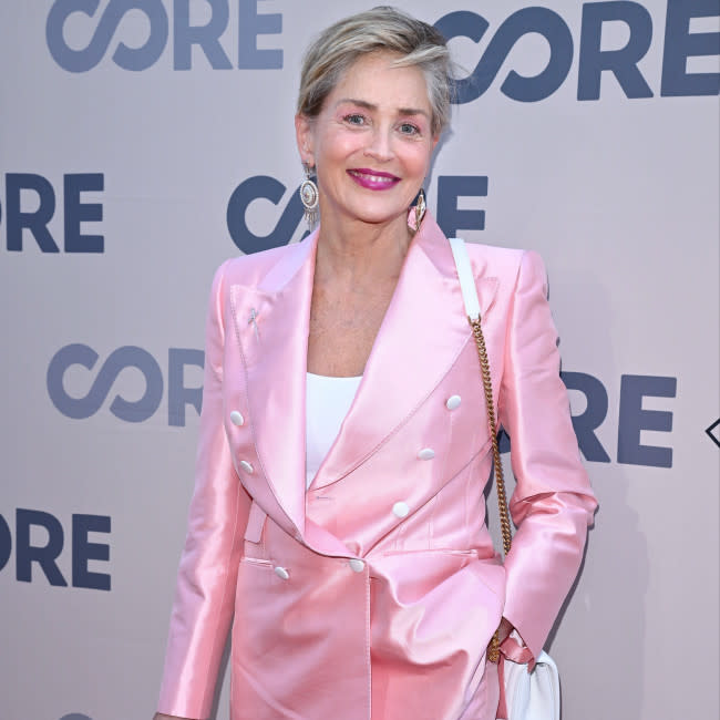 Sharon Stone se lagre de haber elegido la maternidad en lugar de Hollywood credit:Bang Showbiz