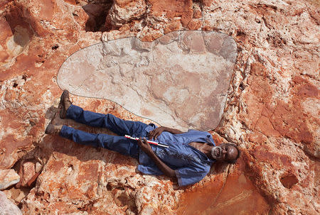 A supplied image of Aboriginal elder and Goolarabooloo Law Boss Richard Hunter alongside a 1.75m sauropod dinosaur track in the Lower Cretaceous Broome Sandstone, Walmadany area, Dampier Peninsula, in Western Australia, March 26, 2017. Picture taken March 26, 2017. Damian Kelly-University of Queensland/Handout via REUTERS