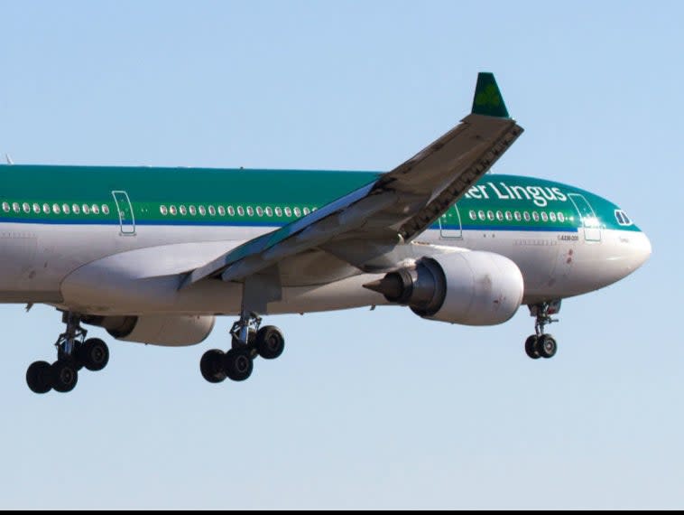 Going west: an Aer Lingus Airbus A330 (Aer Lingus)