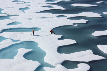 FILE PHOTO: The crew of the U.S. Coast Guard Cutter Healy, in the midst of their ICESCAPE mission, retrieves supplies for some mid-mission fixes dropped by parachute from a C-130 in the Arctic Ocean in this July 12, 2011 NASA handout photo obtained by Reuters June 11, 2012. NASA/Kathryn Hansen/Handout via REUTERS/File Photo