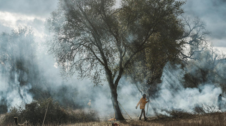 Smoke lingers among the oak trees after two large brush piles were burned. Fire smoke also has a purpose in traditional Native land management: By reflecting sunlight, it cools nearby streams and rivers and promotes aquatic life. (Photo: Ed Kashi/VII)