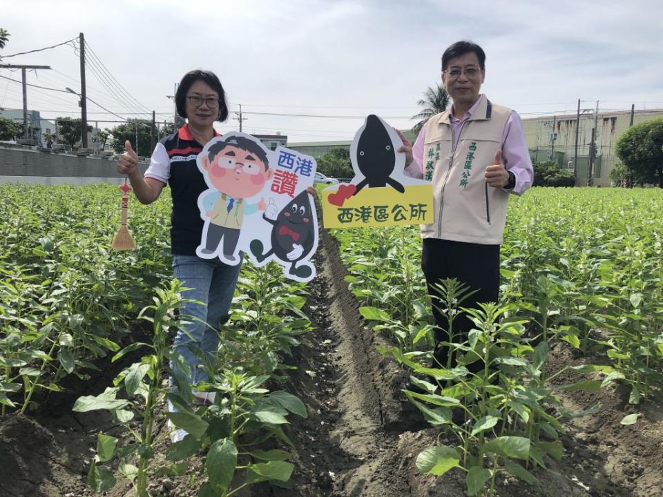 歡慶西港胡麻節二十週年，西港區農會總幹事陳月英（左）、西港區長林耿漢合力規劃的精彩活動，三、四日熱鬧登場。（記者盧萍珊攝）