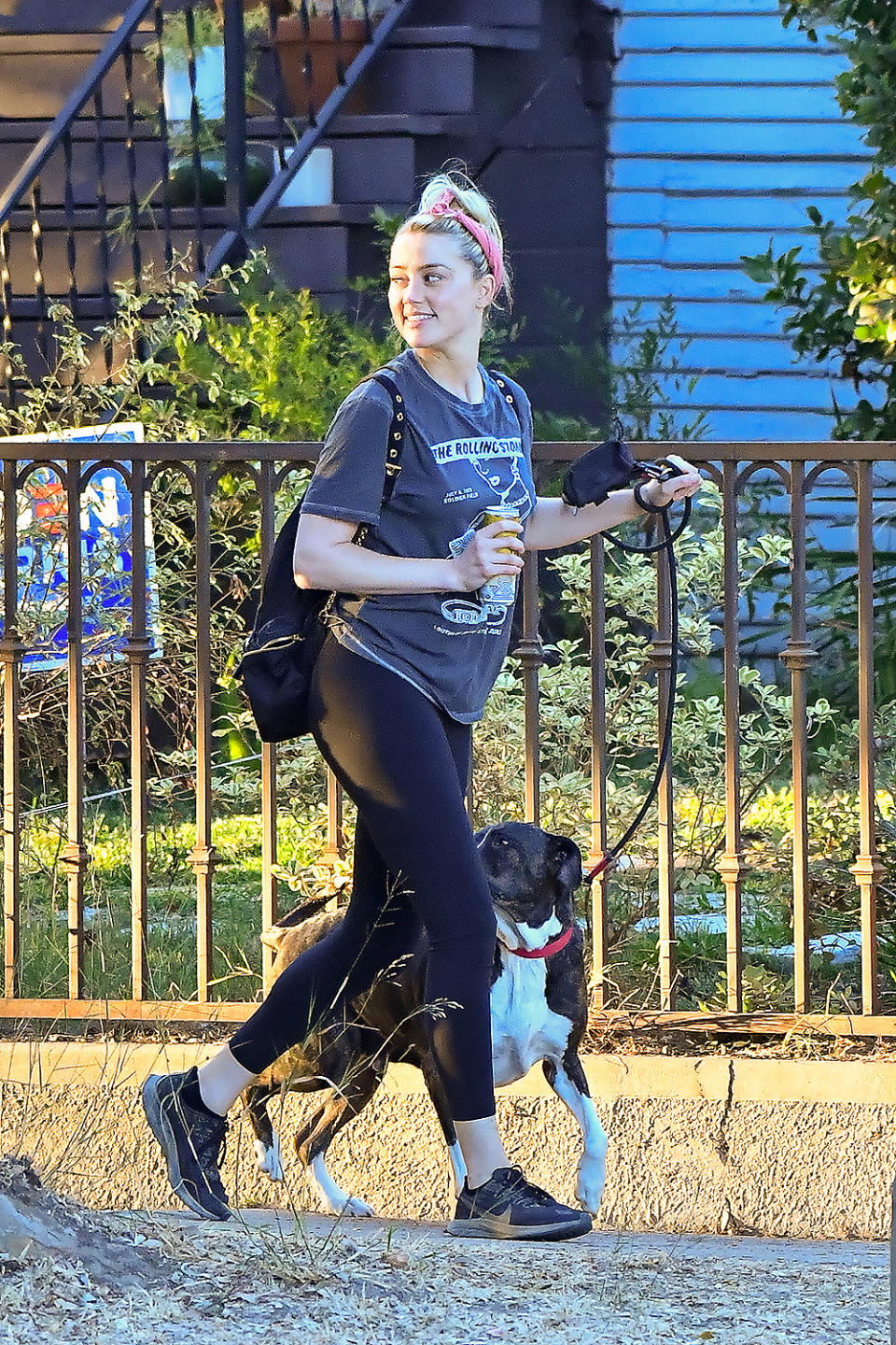 <p>Amber Heard was spotted enjoying a walk in Los Angeles with her dog.</p>