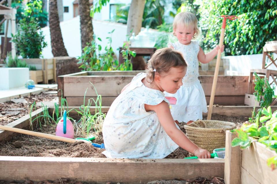 At Marbella Beach Club, you can get your little ones gardening for your evening meal (Marbella Beach Club) (Marbella)