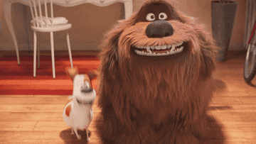 Two dogs jumping excitedly in "The Secret Life of Pets"