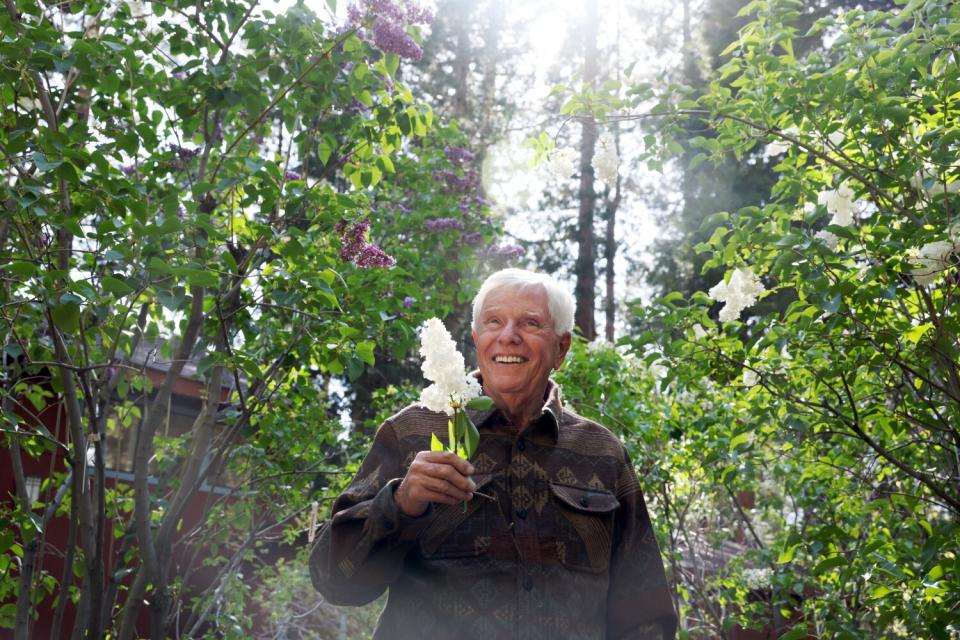 A man stands among lilac bushes, holding a white lilac.