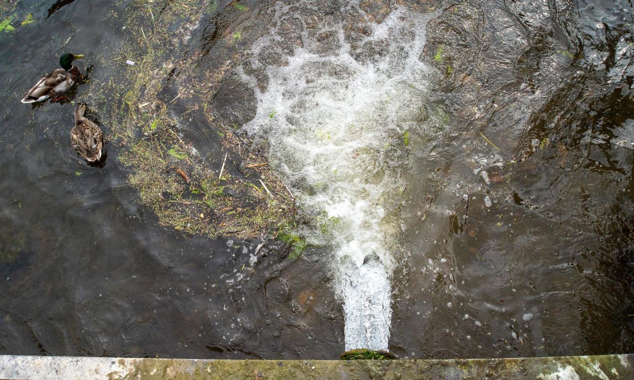 <span>Campaigners and experts said the announcement did not go far enough, and that the whole system needed to change as it had ‘failed’.</span><span>Photograph: Maureen McLean/Rex/Shutterstock</span>