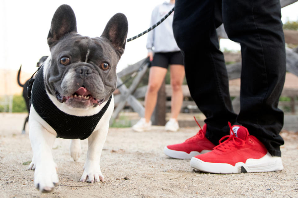 Ryan Sheckler, accompanied by his dog, wearing the Etnies Estrella. - Credit: Courtesy of Etnies