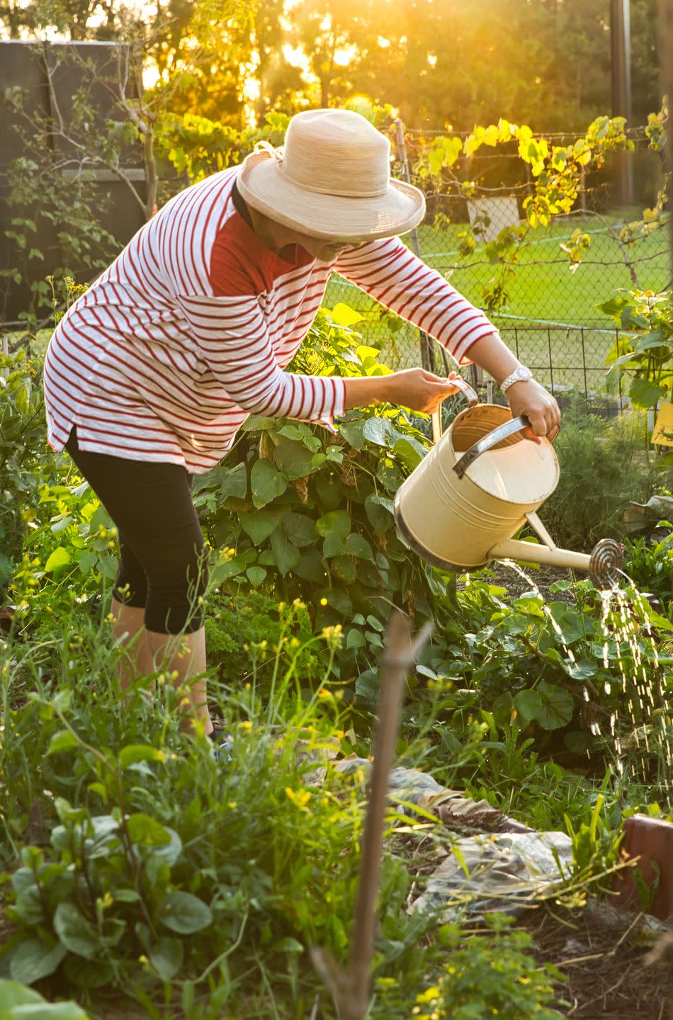 10) Send a Plant for Her Garden